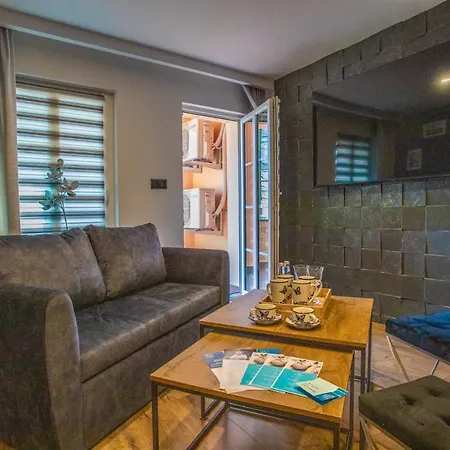 Ksiazecy Platinum Klimatyzacja Apartment *